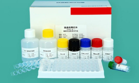 猪瘟抗体检测试剂盒（阻断法）