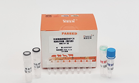 非洲猪瘟抗体检测试剂盒